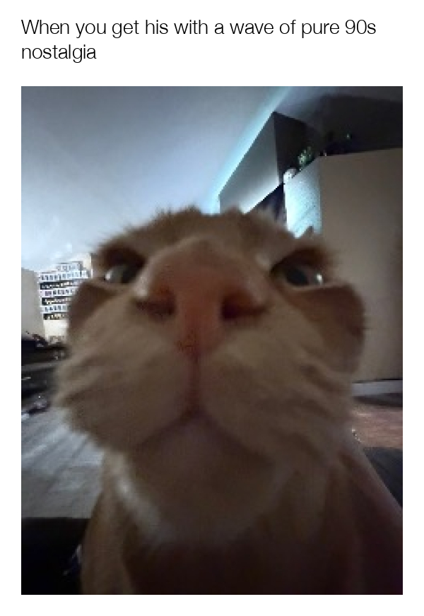 meme-image