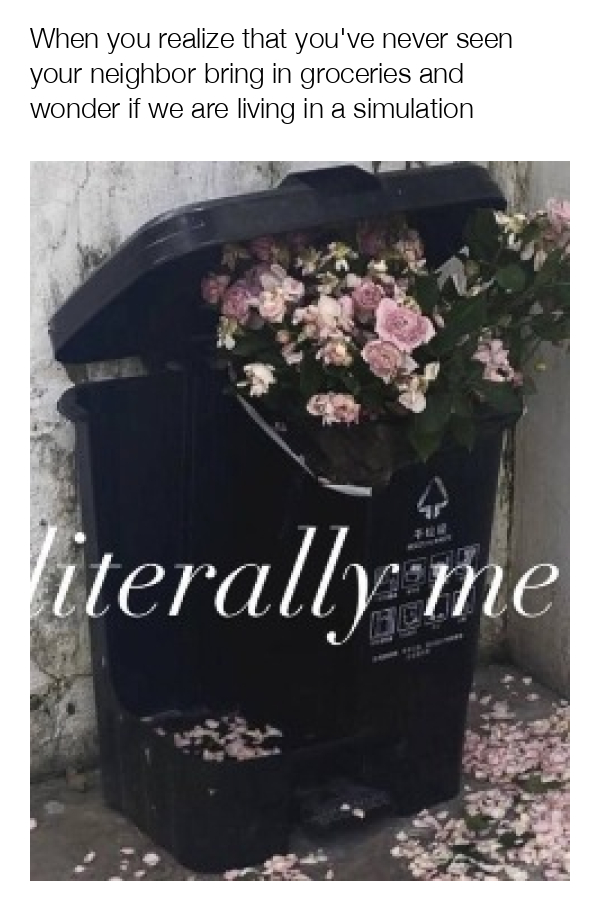 meme-image