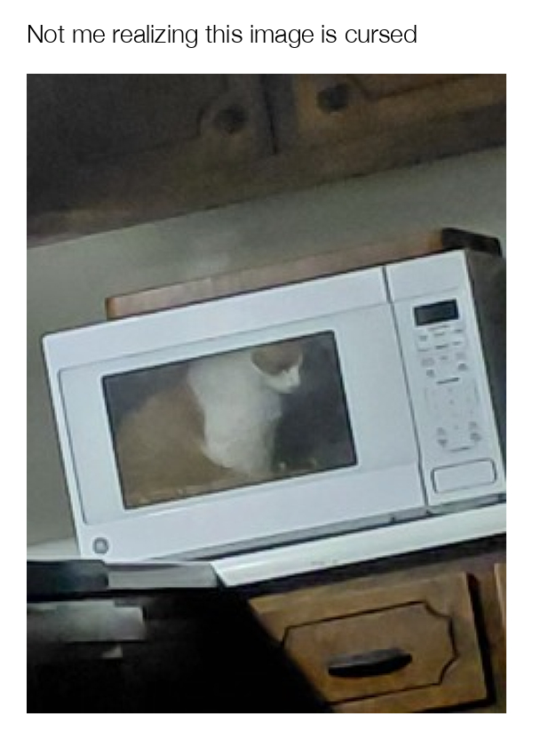 meme-image
