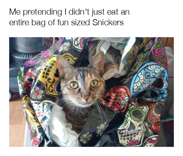 meme-image