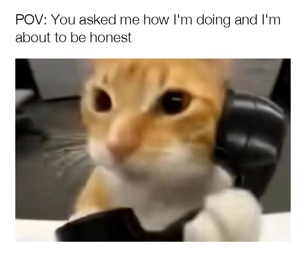 meme-image