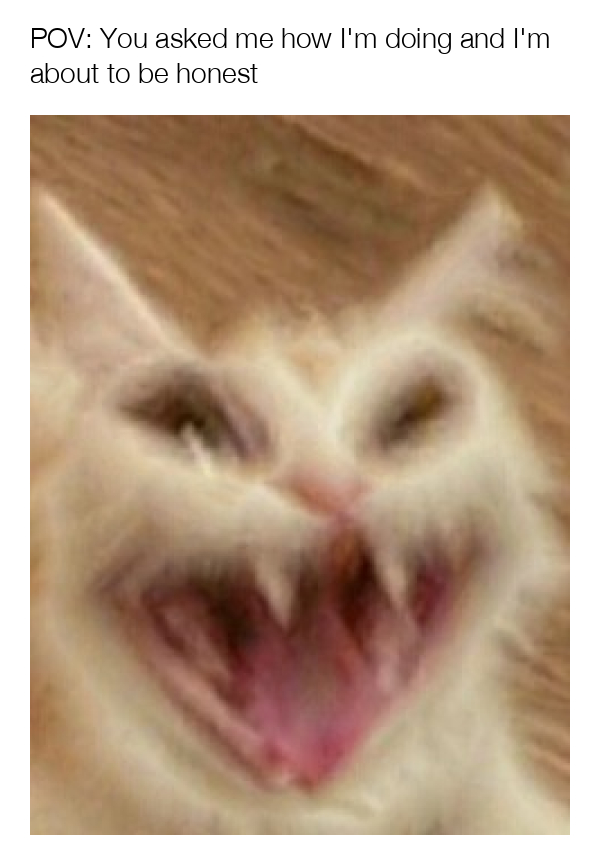 meme-image