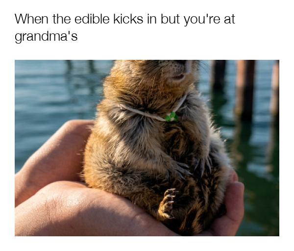 meme-image