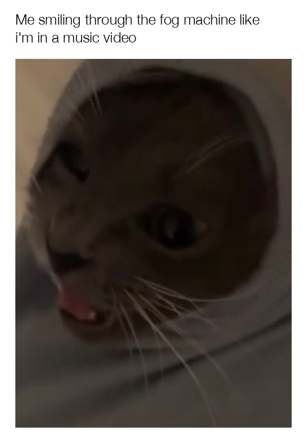 meme-image