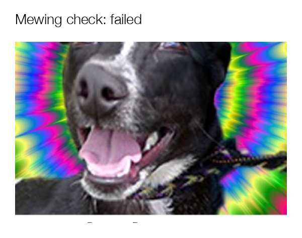 meme-image