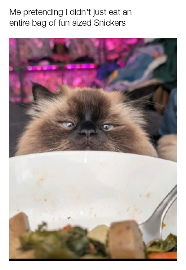 meme-image