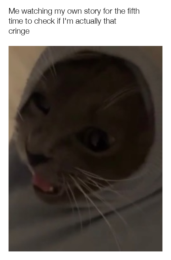 meme-image