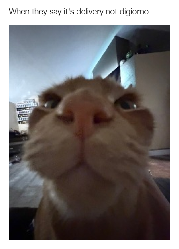 meme-image
