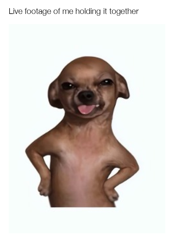 meme-image