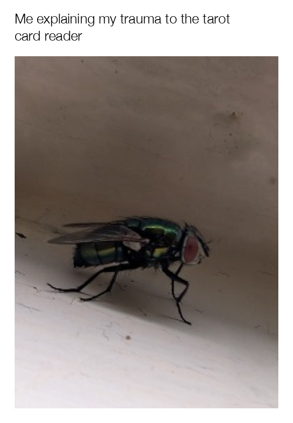 meme-image