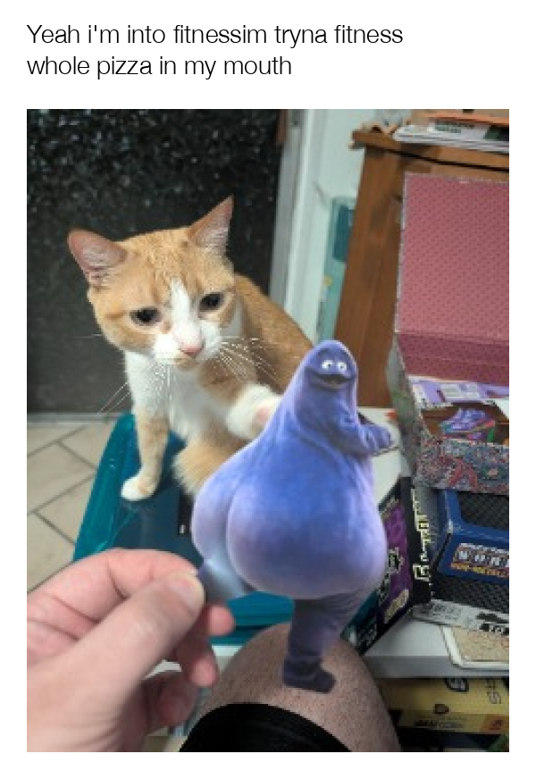 meme-image