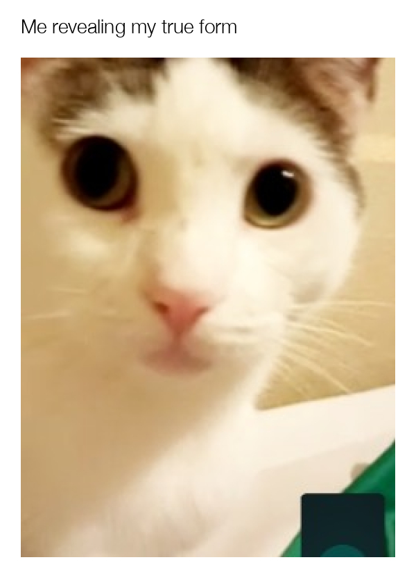 meme-image