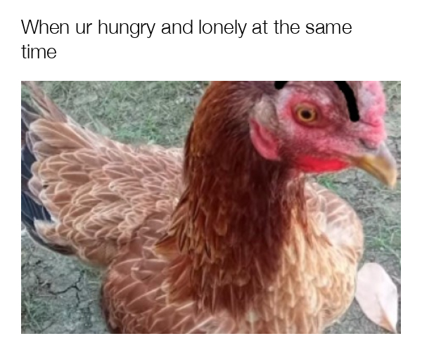 meme-image