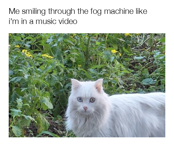 meme-image