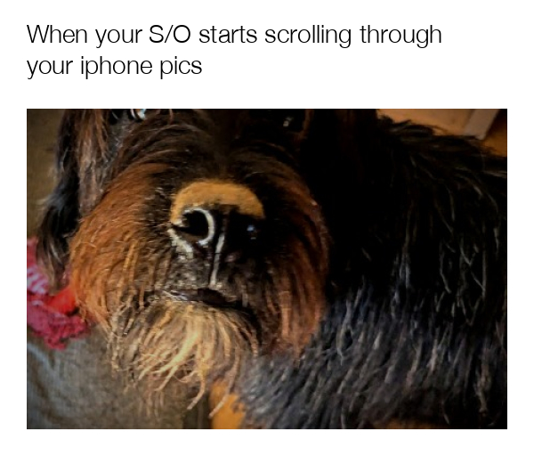 meme-image