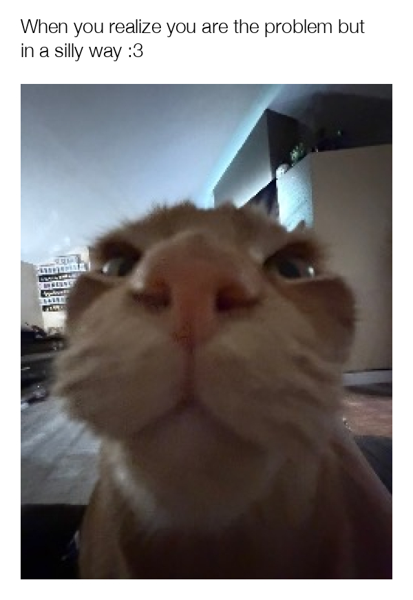 meme-image