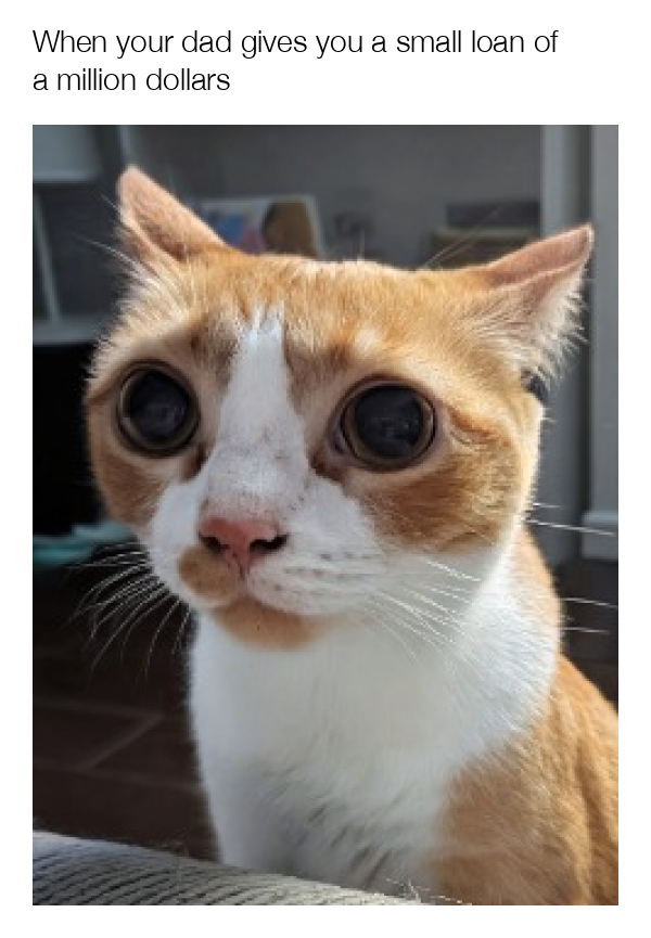 meme-image