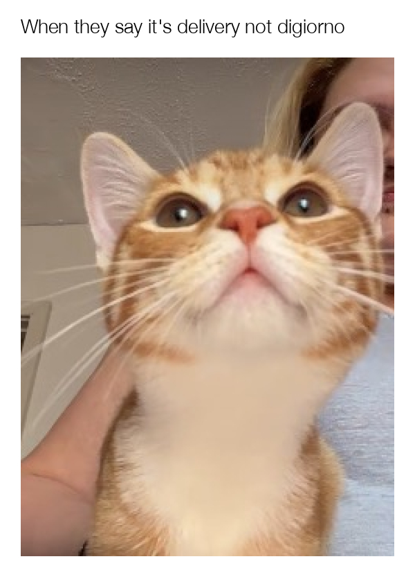 meme-image