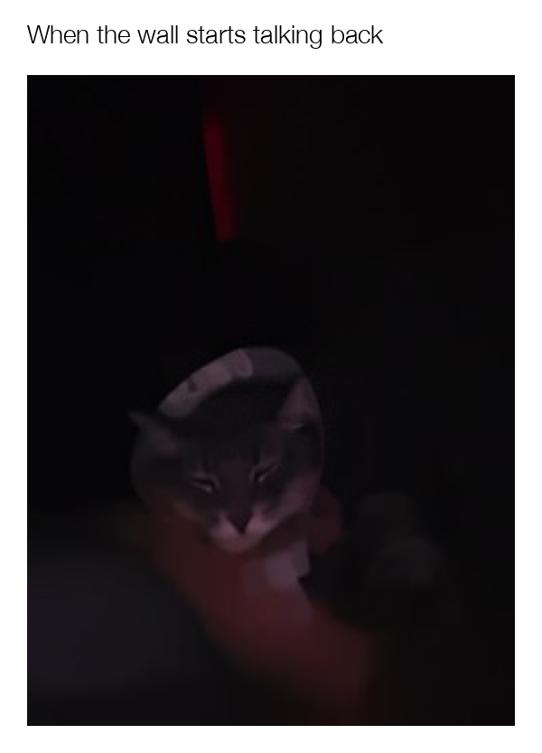 meme-image