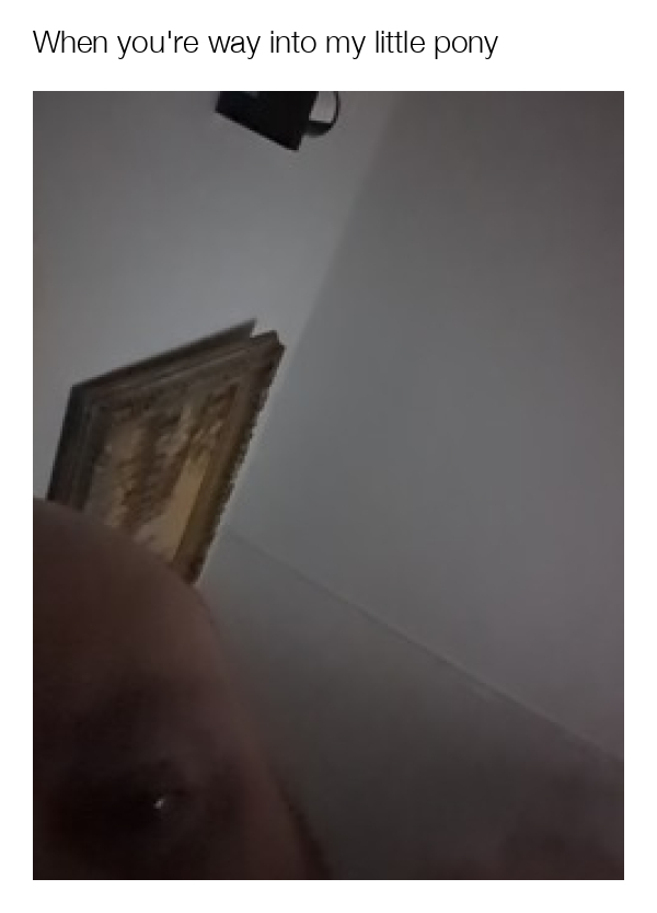 meme-image