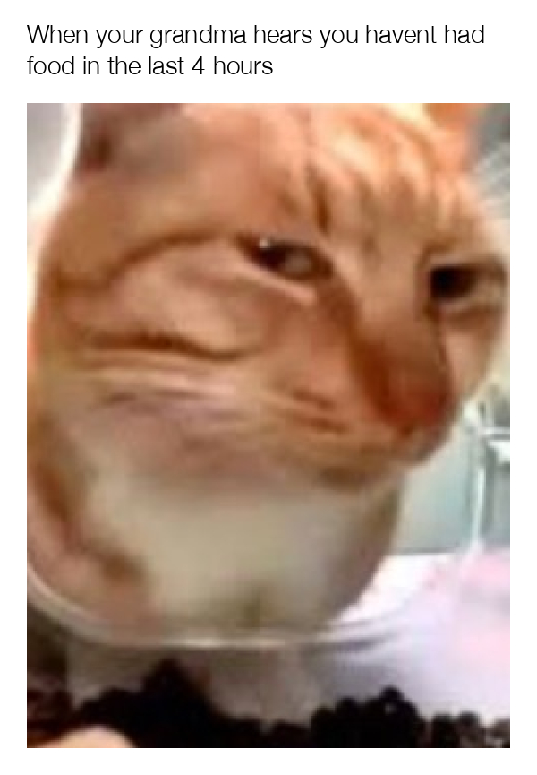 meme-image