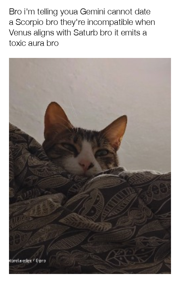 meme-image