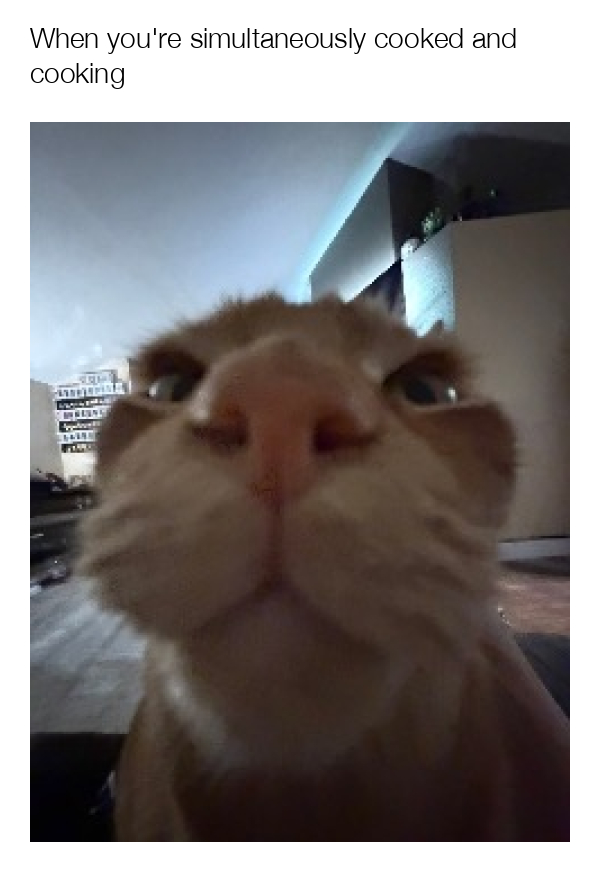 meme-image