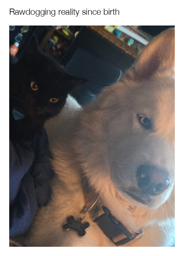 meme-image