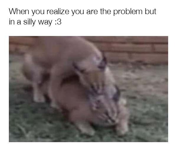 meme-image